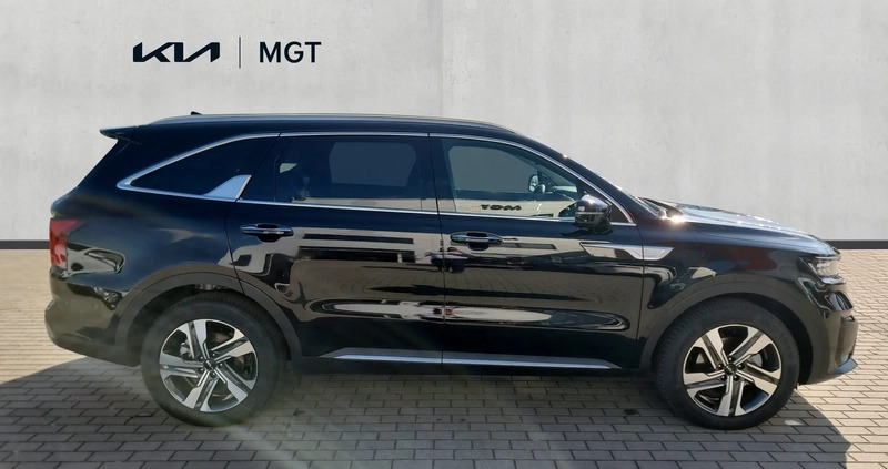 Kia Sorento cena 229900 przebieg: 10, rok produkcji 2023 z Łowicz małe 137